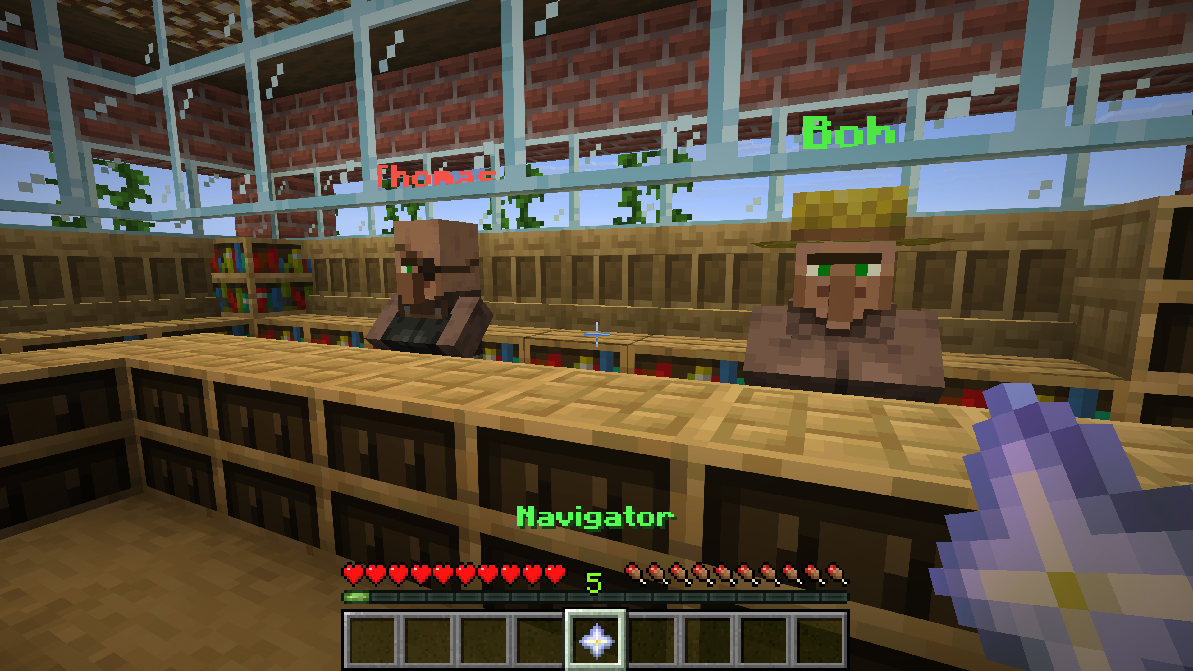 Verkaufs- und Ankaufs-NPCs
